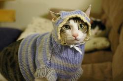 开云体育平台APP-西决生死战之夜，布克撕碎标签用实力书写传奇