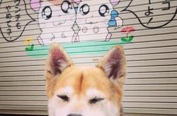 开云下载-控场交响曲，魔术的青春风暴与德罗赞的古典绝响