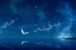 -硬仗双雄，独行侠力克猛龙，西亚卡姆德甲争冠战展统治力