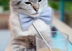 开云体育平台APP-伦纳德用35+12+8演奏爵士交响曲，一场数据爆炸如何改变西部权力版图？