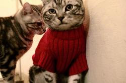 开云体育平台APP-孔德的密钥，当季后赛之夜被写入代码