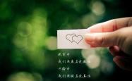 开云体育官方网站-奇迹之夜，保加利亚绝杀荷兰，登贝莱导演惊天逆转