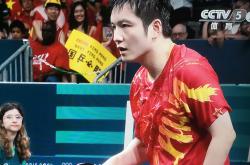 开云体育官网-法国乒乓球队血洗瑞典乒乓球队，樊振东爆发神勇的简单介绍
