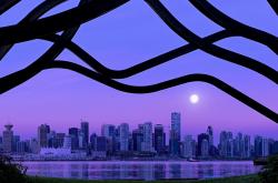 开云官网-小球会大心脏，山西队生死战力克骑士，改写世界排名争夺战格局