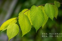 开云体育官方网站-跨越海洋的篮球对话，新疆生死战与欧文关键接管