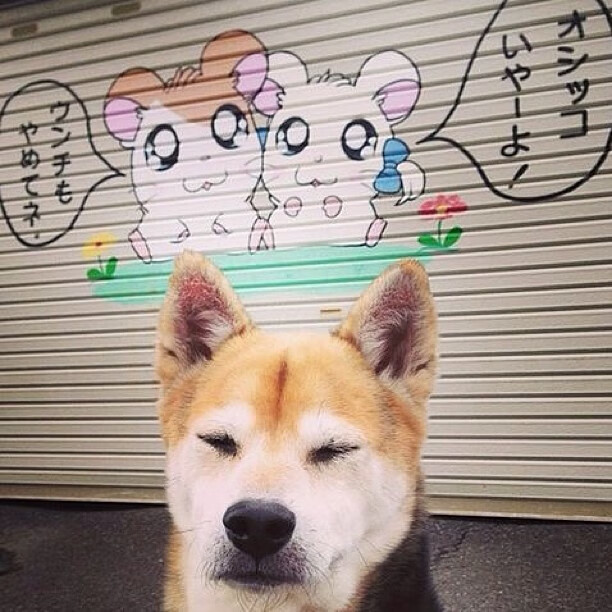 年度焦点之战背后的暗流，皇家社会轻取挪威的战术深度复盘