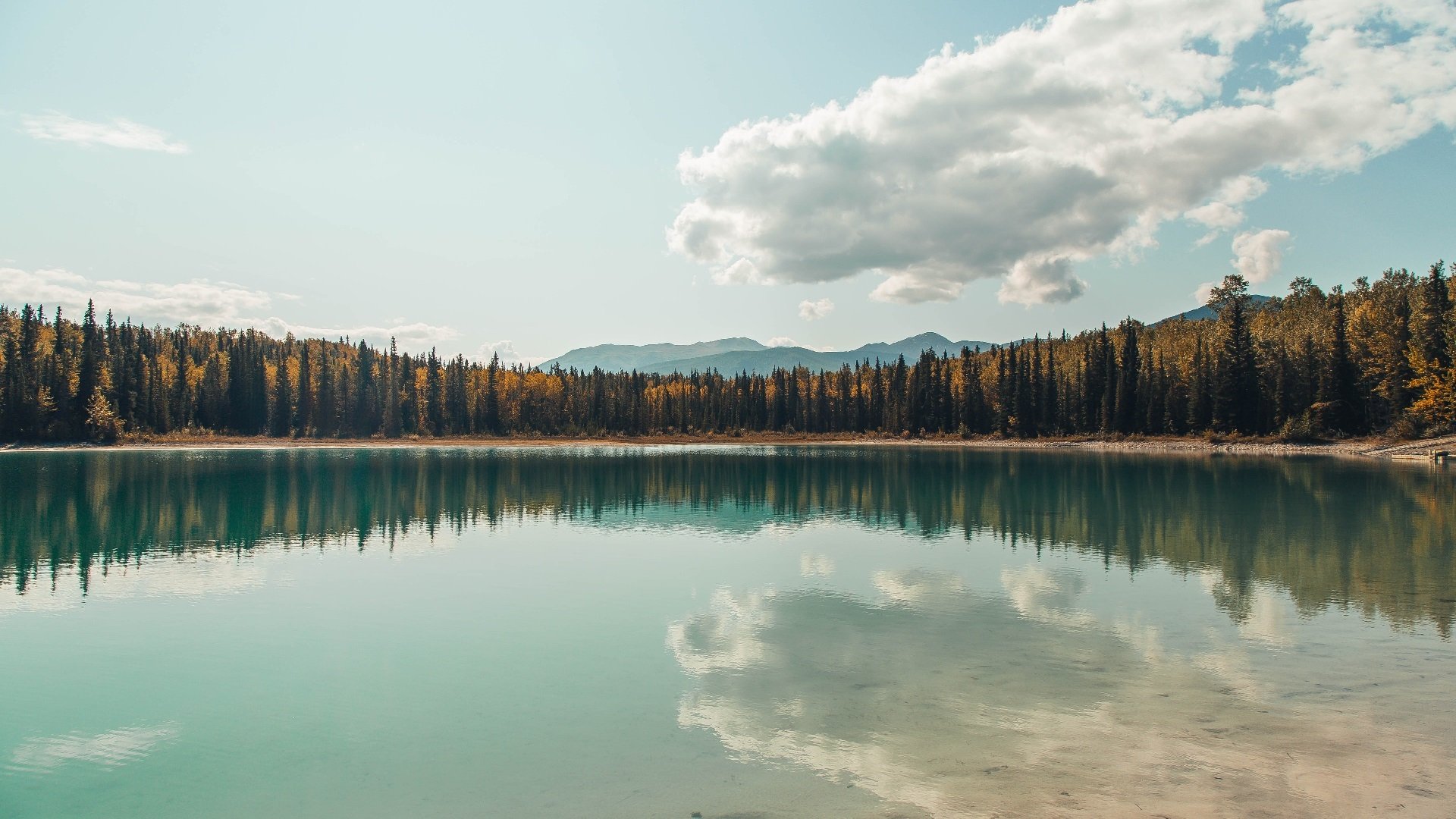 年度焦点之战，墨西哥掀翻爱尔兰，足球史上的辉煌一页