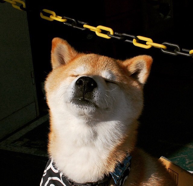 黄喜灿光芒四射！摩纳哥爆冷击败佛罗伦萨展现战术韧性