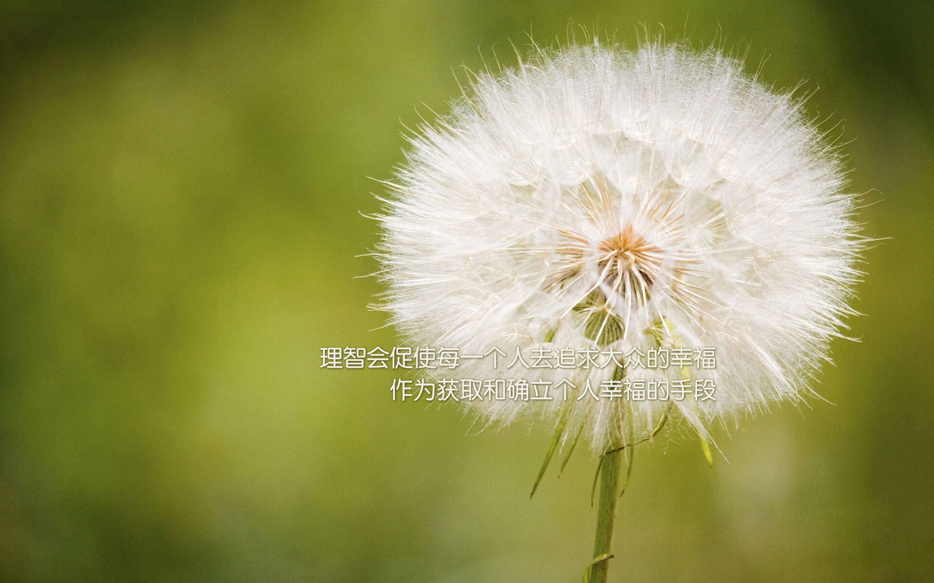 2026世界杯焦点战，凯尔特人制霸火箭，苏格兰绿衫军横扫美国太空梦