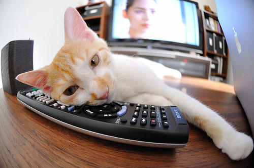 乔治三节打卡下班！篮网让马刺窒息一战，悬念在第二节就已死亡