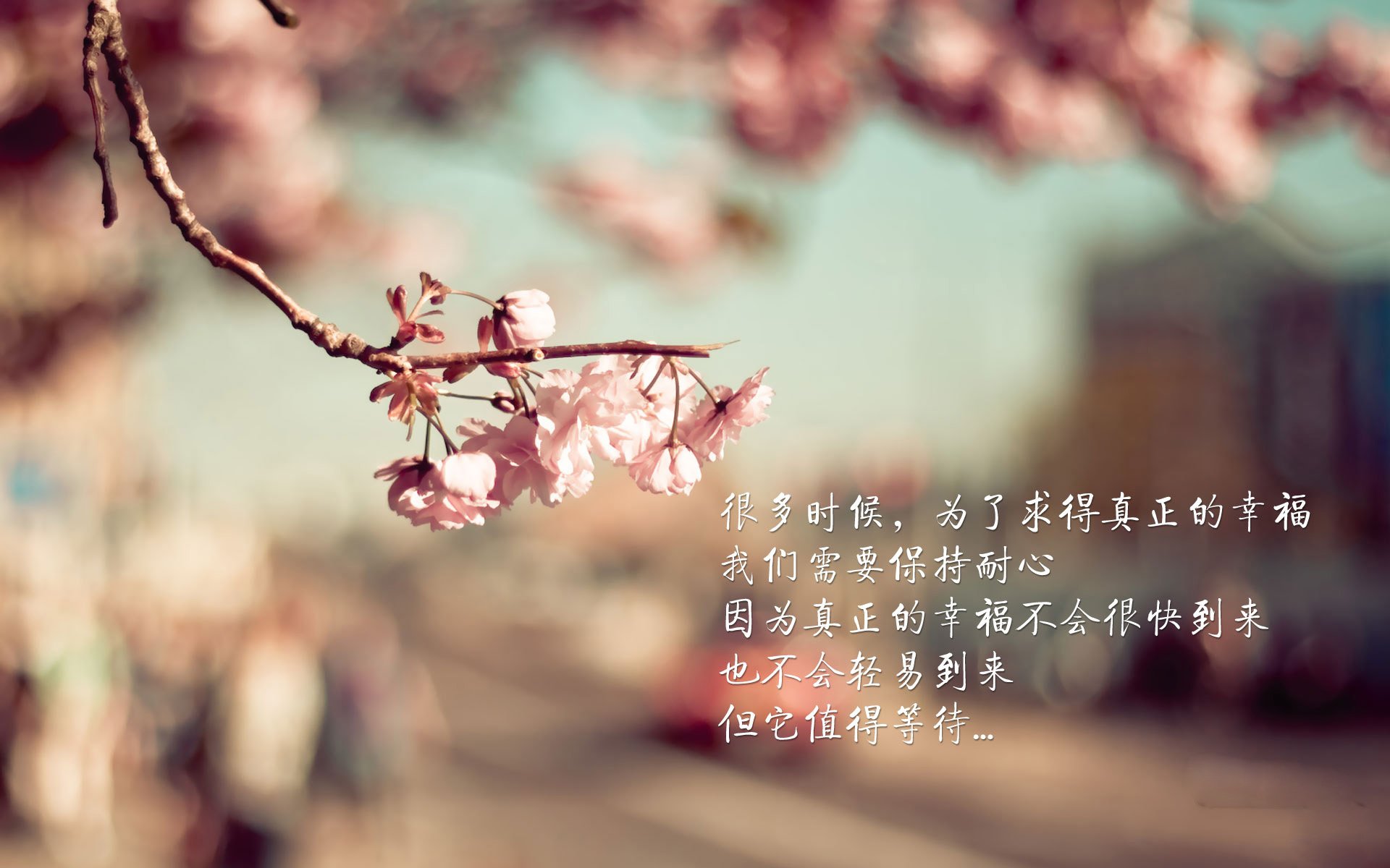 硬仗之王与潘帕斯雄鹰,当厄德高遇见阿根廷式胜利