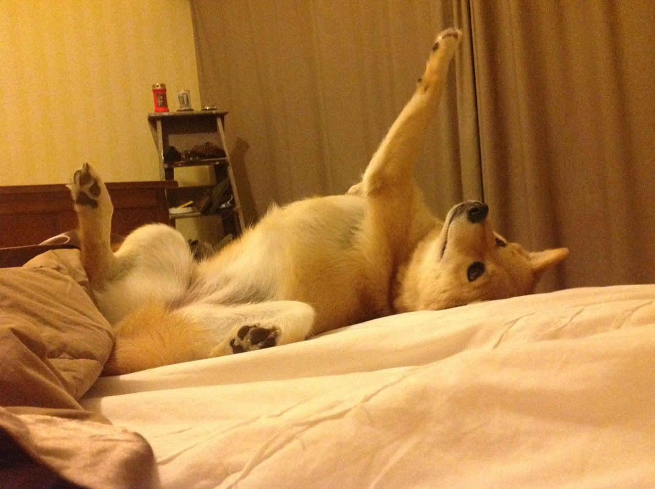 从NBA血战到世界之巅，德罗赞的救赎之路