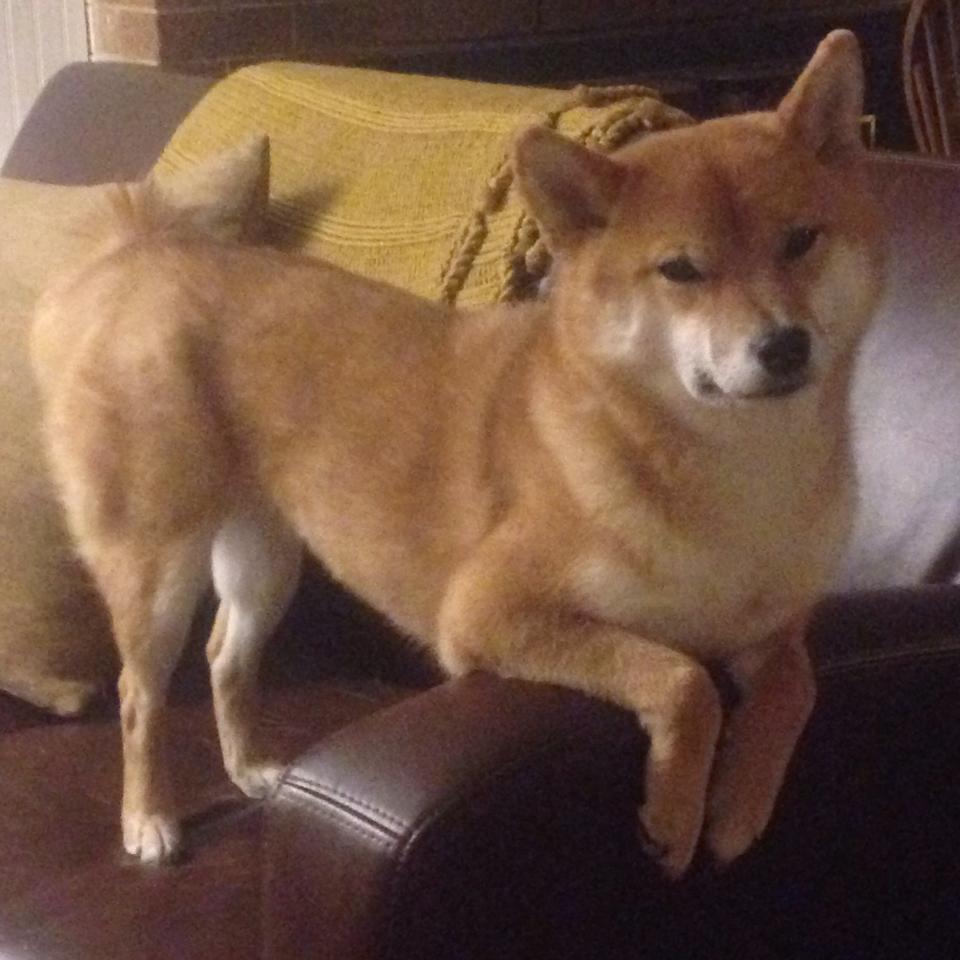 基米希一记惊雷定乾坤，英格兰力克巴黎背后的德意志智慧