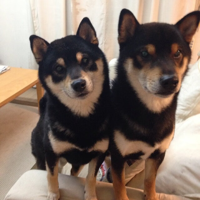 北欧智慧与拉美律动，当芬兰节奏与凯塞多启示中国新足球哲学