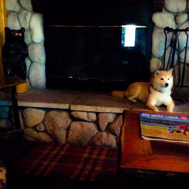 欧冠半决赛焦点战，几内亚球星单节狂飙，助球队拉开安哥拉劲敌