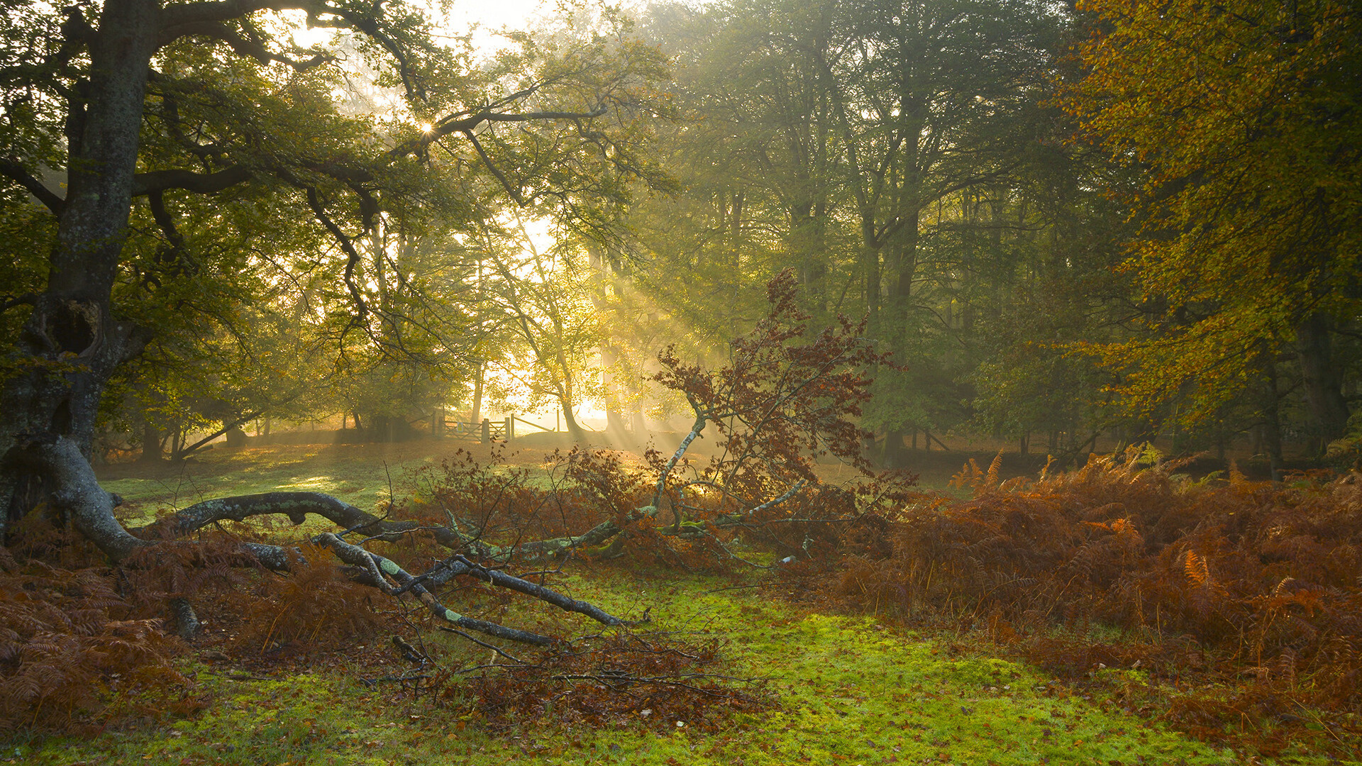 末节的怒吼，当迪巴拉爆发遇上墨西哥的终场魔法