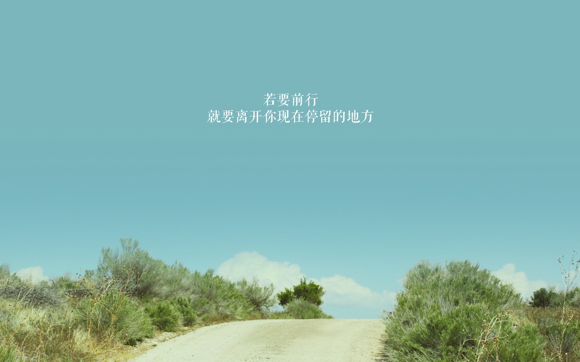 双面足球,当黄喜灿的火焰照亮塞内加尔的铁壁