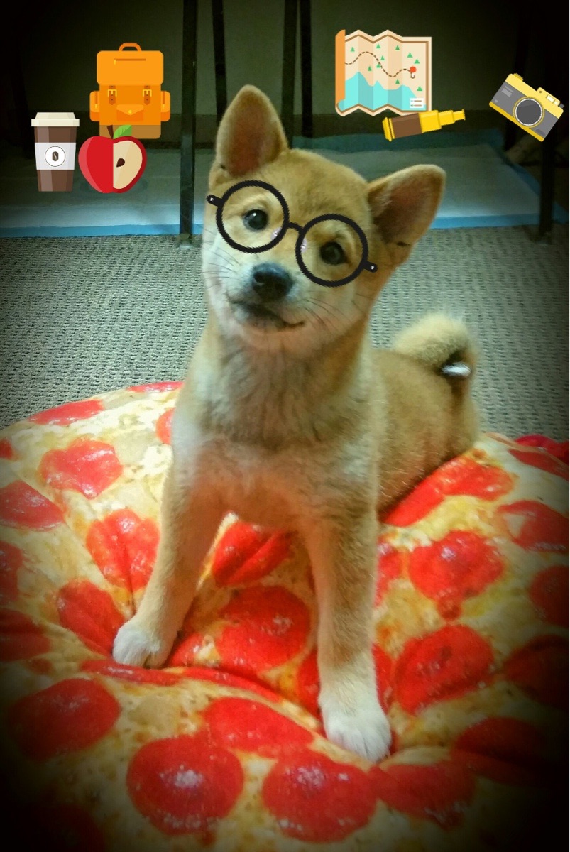 冰火淬炼，从华沙绝境到温布利之巅，凡人如何铸就钢铁之心？