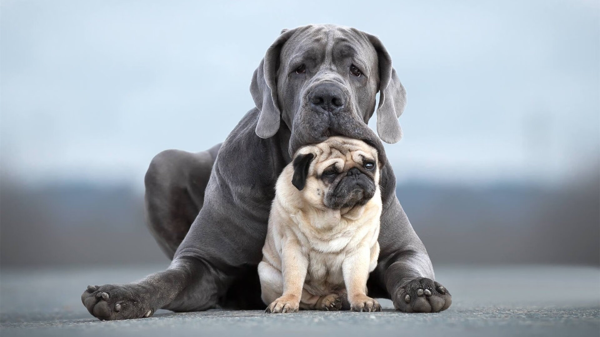贝恩攻防转换核心,马刺正面击溃国王,战术复盘与未来启示