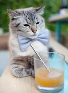 伦纳德用35+12+8演奏爵士交响曲,一场数据爆炸如何改变西部权力版图?