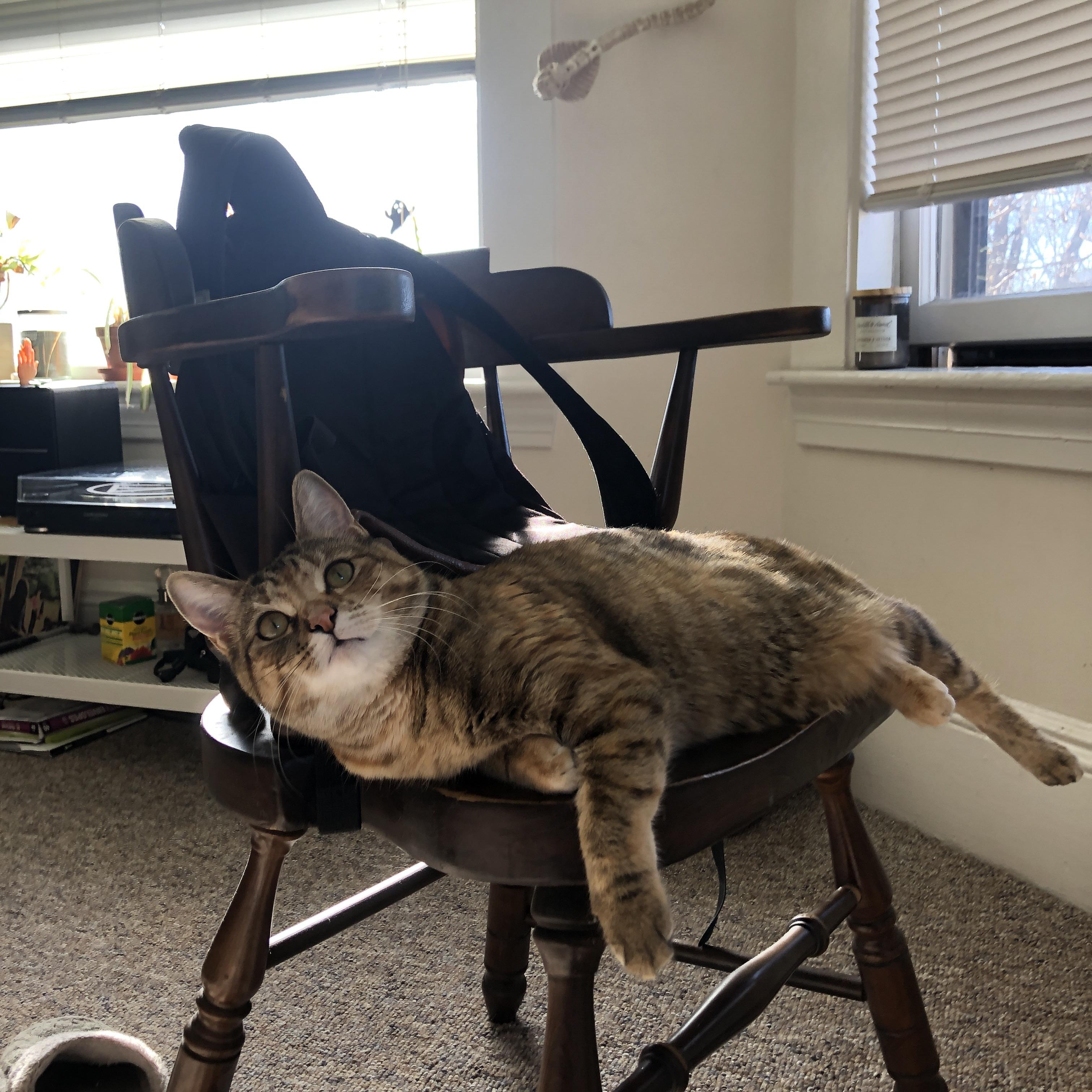 风暴眼中的英雄，贝恩一锤定音助德甲争冠战之夜沸腾