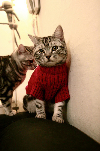 孔德的密钥，当季后赛之夜被写入代码